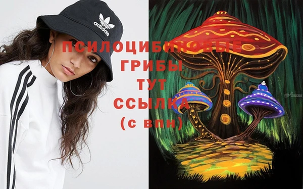 амфетамин Гусев