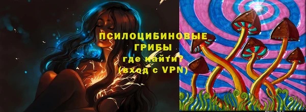 альфа пвп Гусиноозёрск