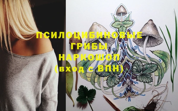 амфетамин Гусев